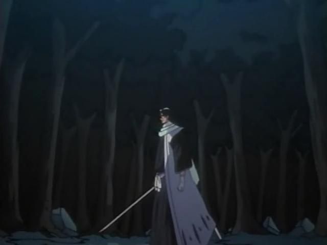 Otaku Gallery  / Anime e Manga / Bleach / Screen Shots / Episodi / 095 - Byakuya prende il campo - Ballo del vento dei fiori di ciliegio / 029.jpg